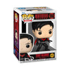 Batman Beyond - Terry McGuinnes Pop! Vinyl Figure