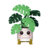 Kawaii Plants - Kawaii Monstera Pop! Vinyl Figure