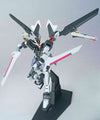 HG Strike Noir Gundam Model Kit
