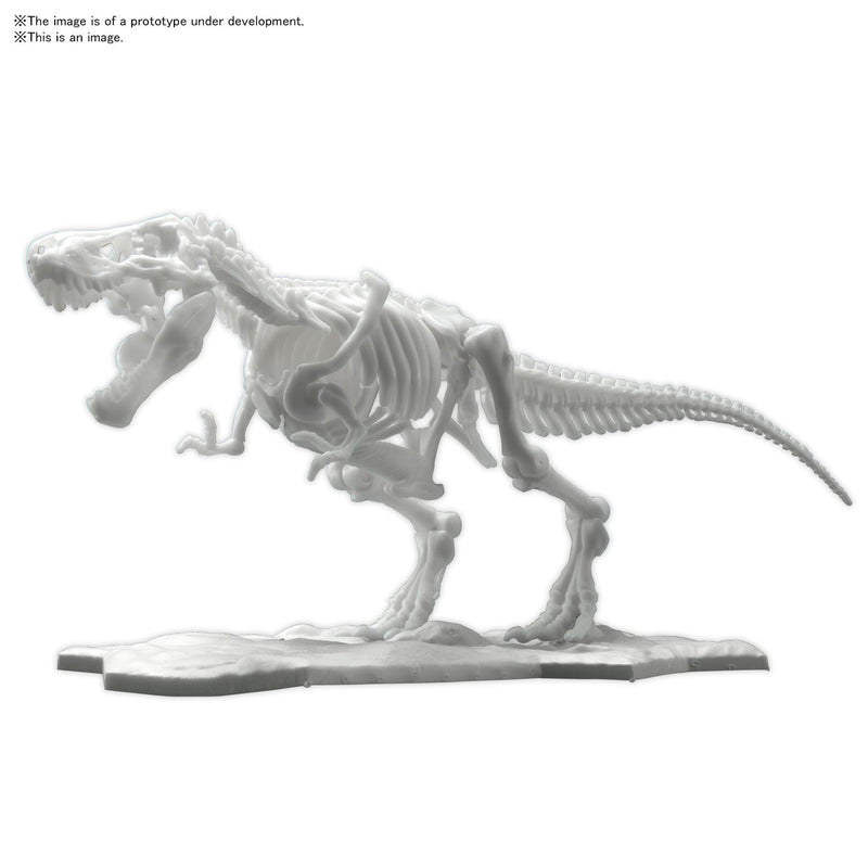 Dinosaur Skeleton Tyrannosaurus Rex Model Kit