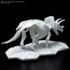 Dinosaur Skeleton Triceratops Model Kit