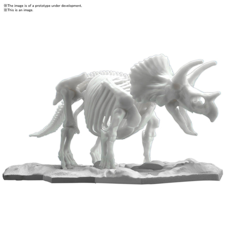 Dinosaur Skeleton Triceratops Model Kit