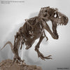 1/32 Imaginary Skeleton Tyrannosaurus Model Kit