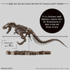 1/32 Imaginary Skeleton Tyrannosaurus Model Kit