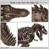 1/32 Imaginary Skeleton Tyrannosaurus Model Kit