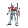1/100 ZGMF-X56S/β Sword Impulse Gundam Model Kit