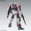MG 1/100 Narrative Gundam C-Packs Ver.Ka Model Kit