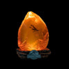 Jurassic Park - Amber LED Lamp