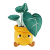 Honeymaru: Alocasia Black Velvet Succulent Plush (8