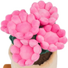 Honeymaru: Azalea Succulent Plant Plush (8