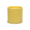 Disney Gifts: Planter Pot - Winnie the Pooh