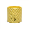 Disney Gifts: Planter Pot - Winnie the Pooh
