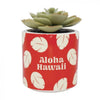 Disney Gifts: Planter with Faux Plant - Lilo and Stitch