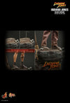 Indiana Jones and the Dial of Destiny (2023) - Indiana Jones Deluxe 1/6 Scale Collectable Figure