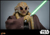 Star Wars - Kit Fisto 1/6 Figure
