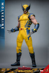 Deadpool & Wolverine - Wolverine 1/6 Figure