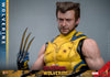 Deadpool & Wolverine - Wolverine Deluxe 1/6 Figure