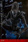 Alien: Romulus - Scorched Xenomorph 1/6 Scale Collectable Action Figure