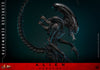 Alien: Romulus - Scorched Xenomorph 1/6 Scale Collectable Action Figure