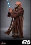 Star Wars: Revenge of the Sith - Plo Koon 1/6 Scale Collectable Action Figure