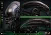 Alien - Alien Big Chap 1/6 Scale Collectable Action Figure