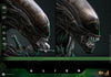 Alien - Alien Big Chap 1/6 Scale Collectable Action Figure