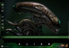 Alien - Alien Big Chap 1/6 Scale Collectable Action Figure