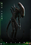 Alien - Alien Big Chap 1/6 Scale Collectable Action Figure