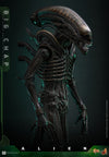 Alien - Alien Big Chap 1/6 Scale Collectable Action Figure