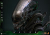 Alien - Alien Big Chap 1/6 Scale Collectable Action Figure