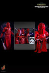 Star Wars - Imperial Praetorian Guard 1/6 Scale Collectable Action Figure