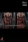 Prey - Feral Predator 1/6 Scale Collectable Figure