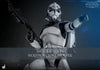 Star Wars - 104th Battalion Wolfpack Clone Trooper 1/6 Scale Collectable Action Figure