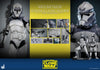 Star Wars - 104th Battalion Wolfpack Clone Trooper 1/6 Scale Collectable Action Figure
