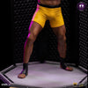 UFC - Anderson inSpiderin Silva (Signed Version) Deluxe Art Scale 1/10 Scale Statue