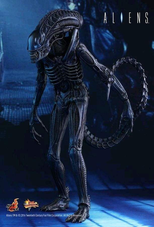 Image Alien - Alien Warrior 12