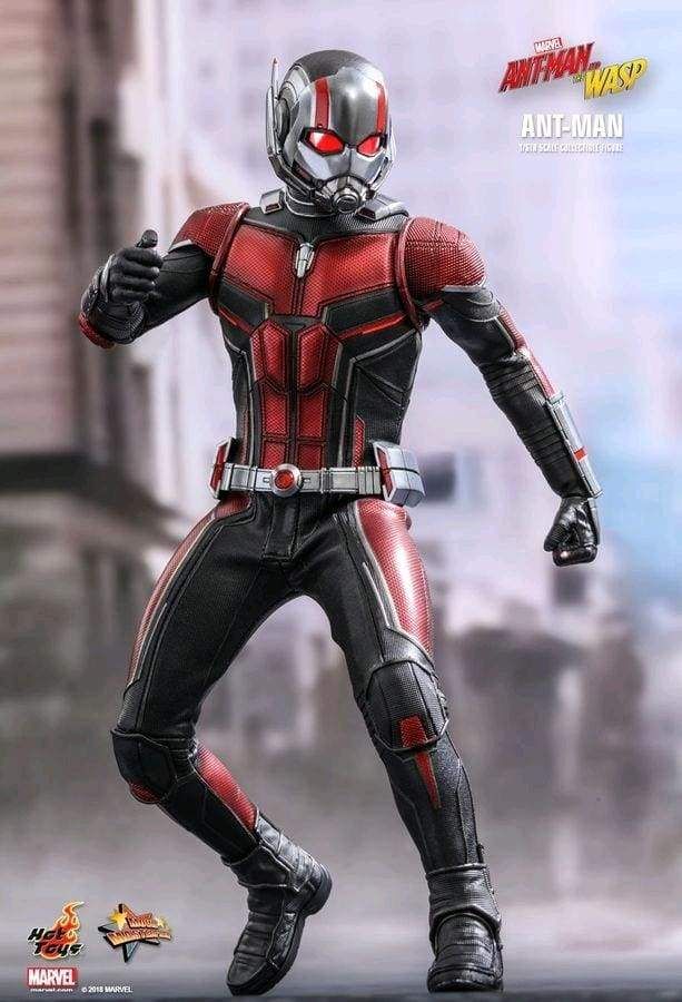 Image Ant-Man and the Wasp - Ant-Man 1:6 Scale Action Figure