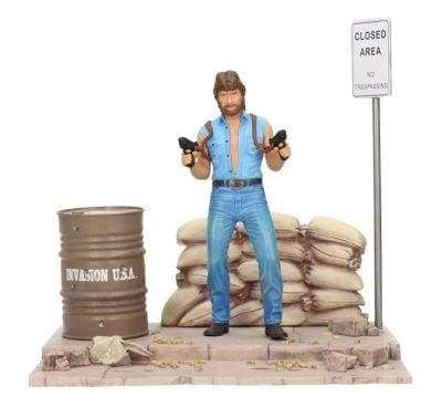 Image Chuck Norris - Matt Hunter 7