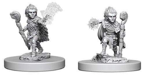Image Deep Cuts Pathfinder Male Gnome Druid Unpainted Miniature