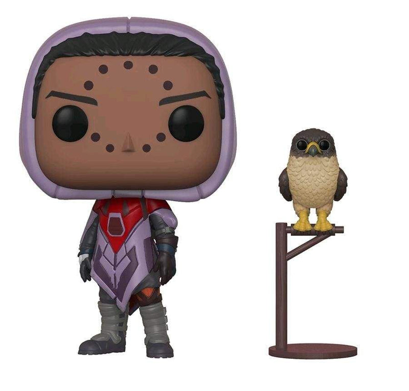 Image Destiny - Hawthorne w/Hawk Pop!