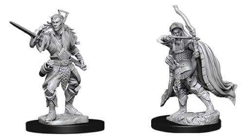 Image Dungeons and Dragons: Elf Rogue Male