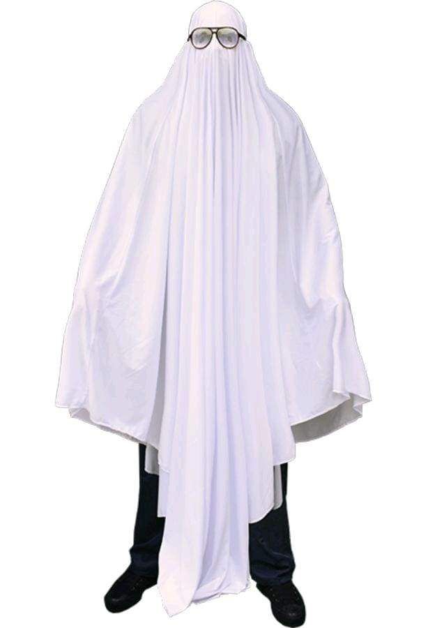 Image Halloween (1978) - Ghost Costume