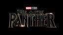 Image MARVELS BLACK PANTHER ART OF MOVIE SLIPCASE HC