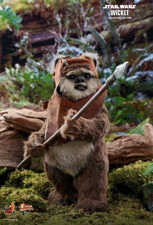 Image Star Wars - Wicket Return of the Jedi 1:6 Scale Action Figure