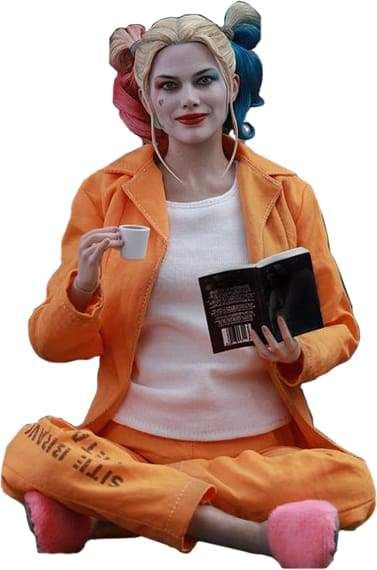 Image Suicide Squad - Harley Quinn Prisoner 12