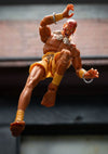 Street Fighter - Dhalsim 6 Inch Action Figure