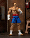 Street Fighter II - 6 Inch Sagat Figure