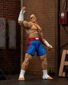 Street Fighter II - 6 Inch Sagat Figure