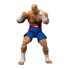 Street Fighter II - 6 Inch Sagat Figure