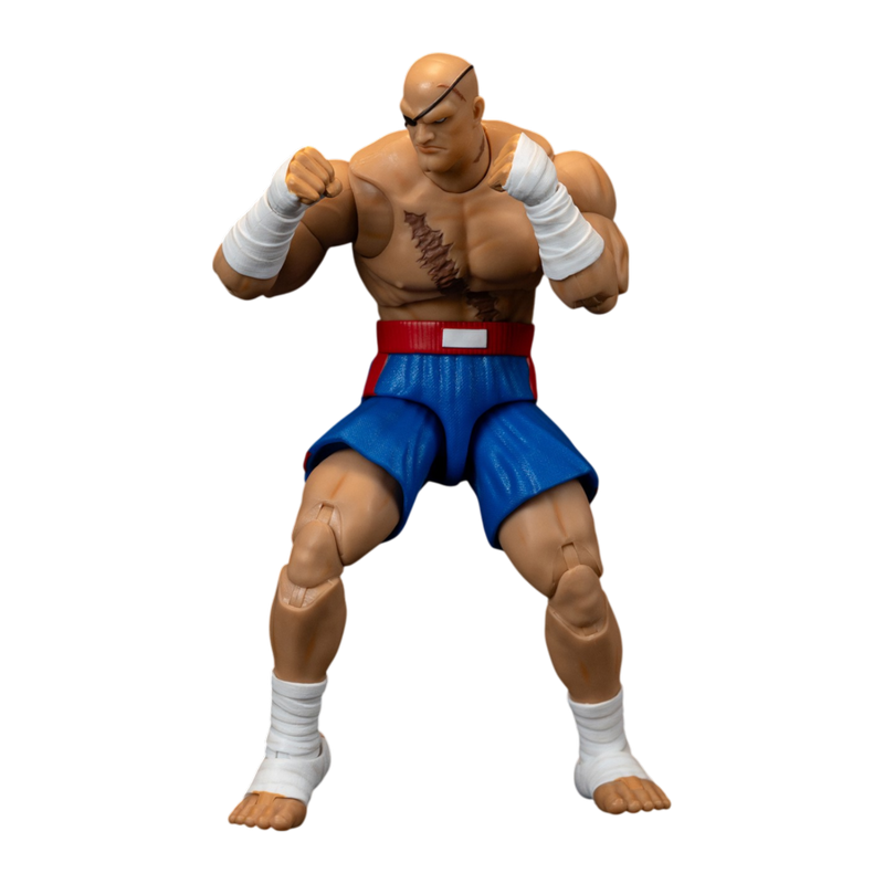 Street Fighter II - 6 Inch Sagat Figure